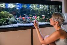 Nos prestations sur le secteur de Yvetot 76190 en Normandie